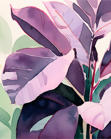 Purple Blush