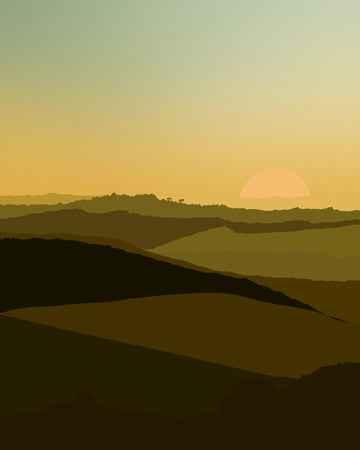 Savannah Sunset Unframed