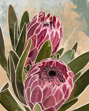 Protea