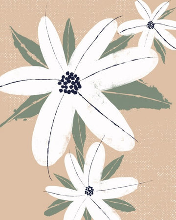 Dandy