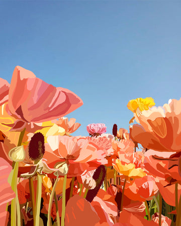 Super Bloom