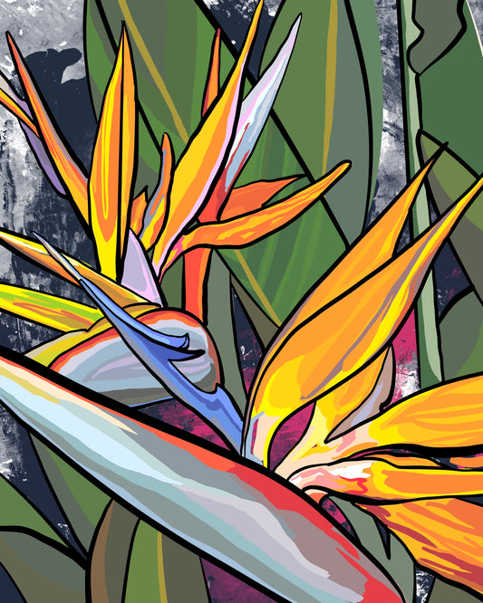 Bird of Paradise unframed