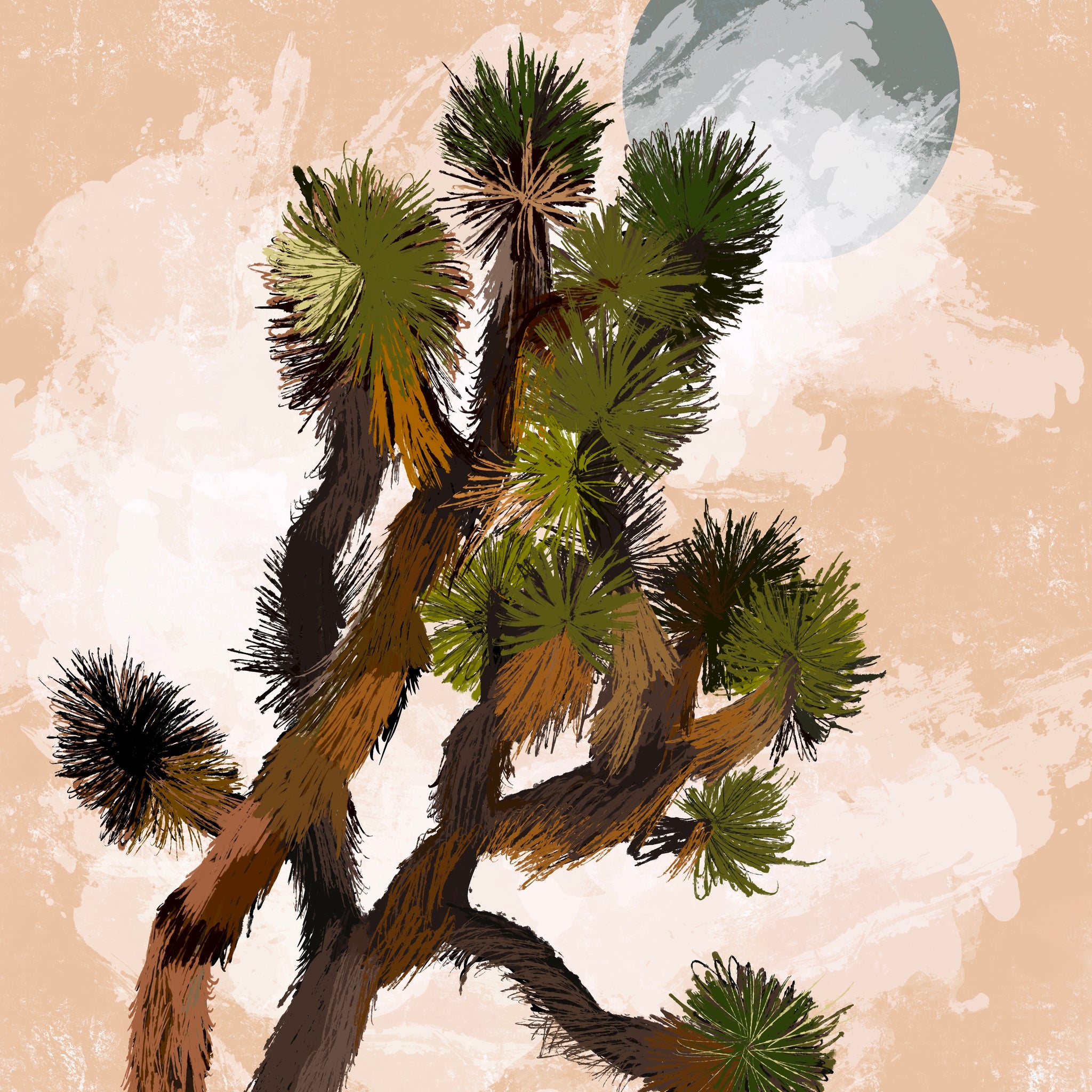 Joshua Tree National Park unframed