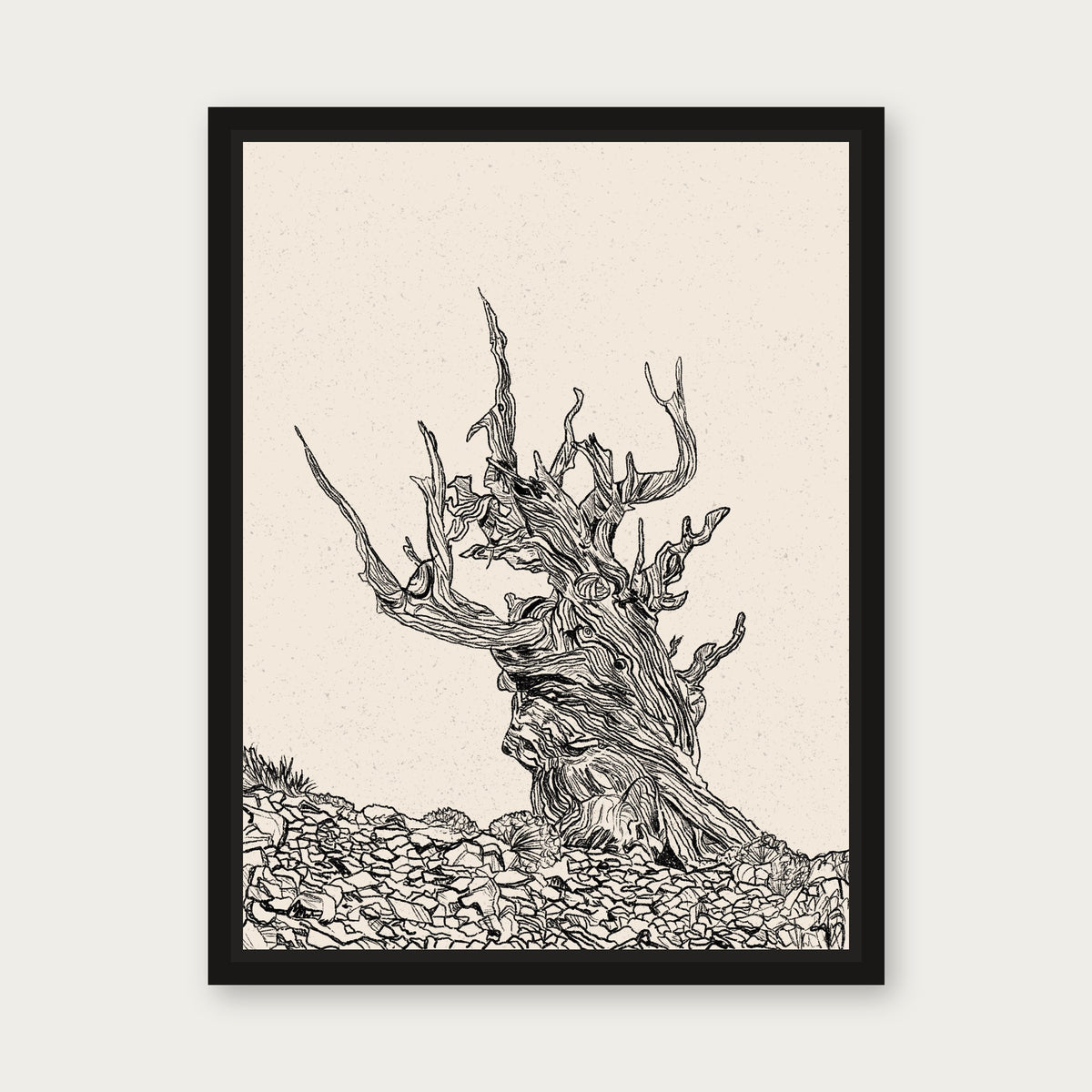 The Elder 1 Floating Frame Canvas - Black floating frame