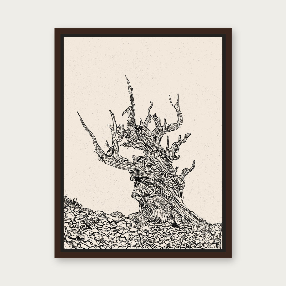 The Elder 1 Floating Frame Canvas - Espresso floating frame
