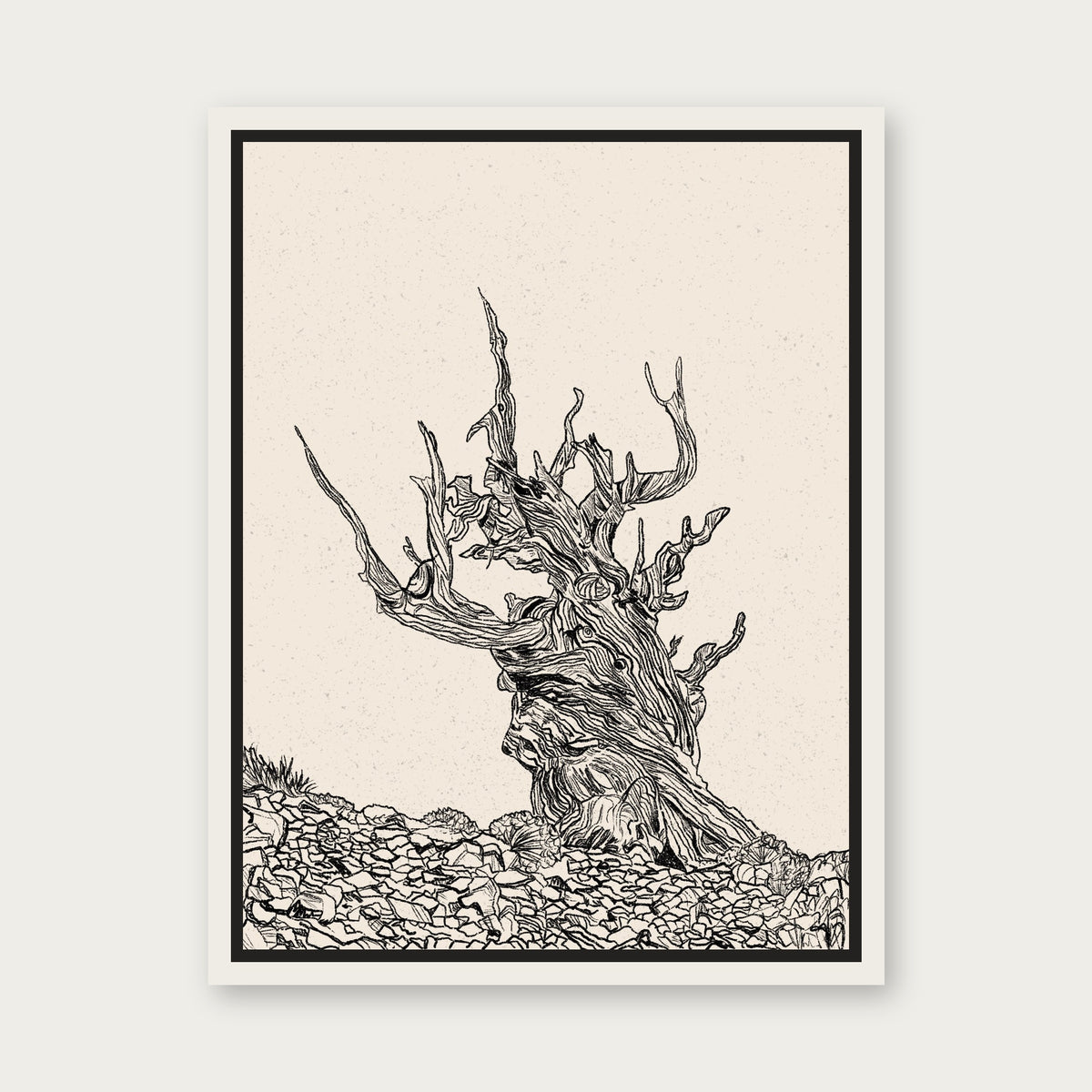 The Elder 1 Floating Frame Canvas - White floating frame
