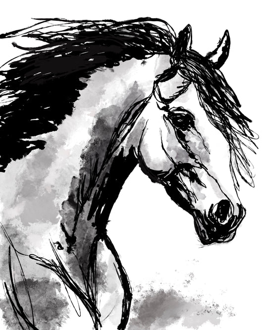 Wild Horse unframed