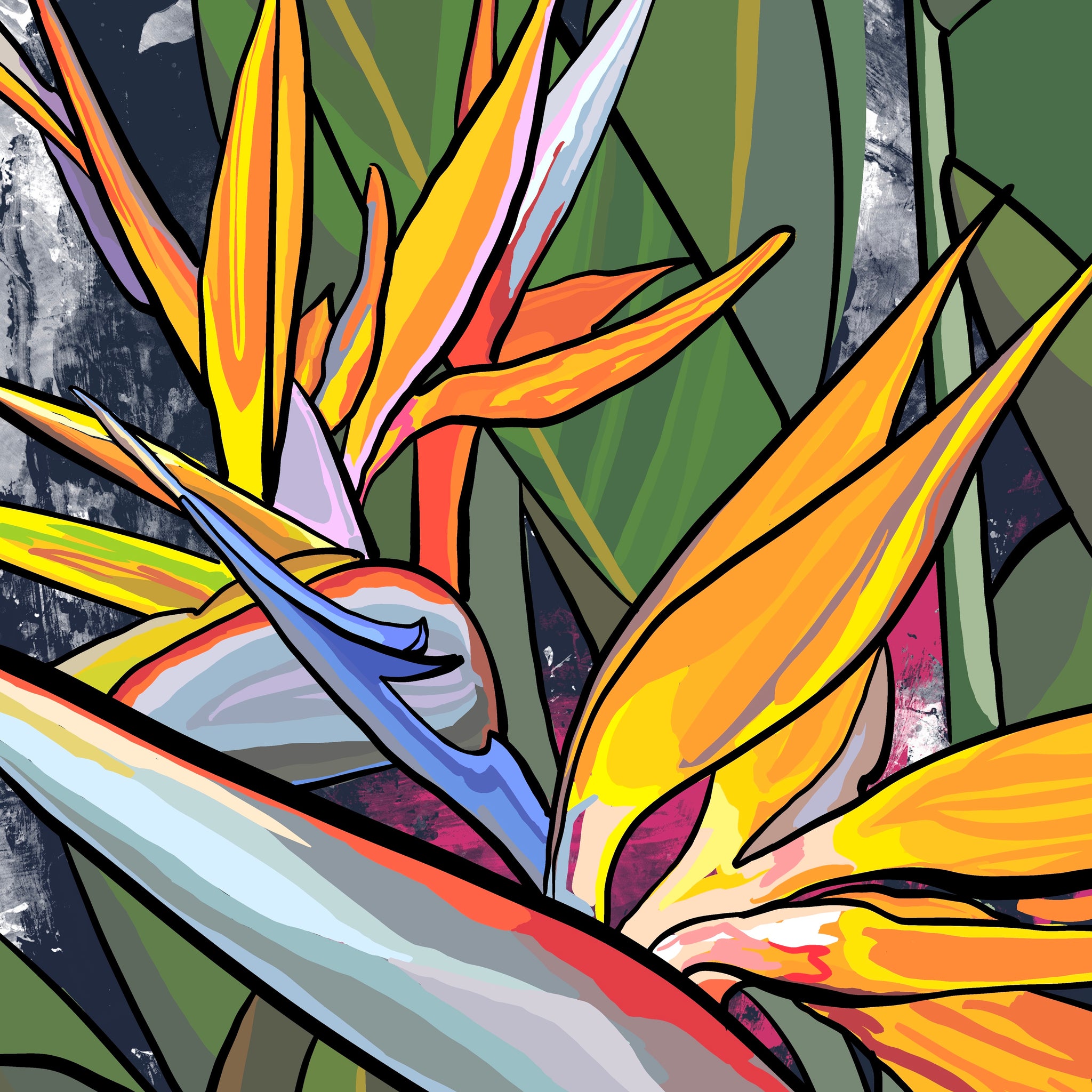 Bird of Paradise